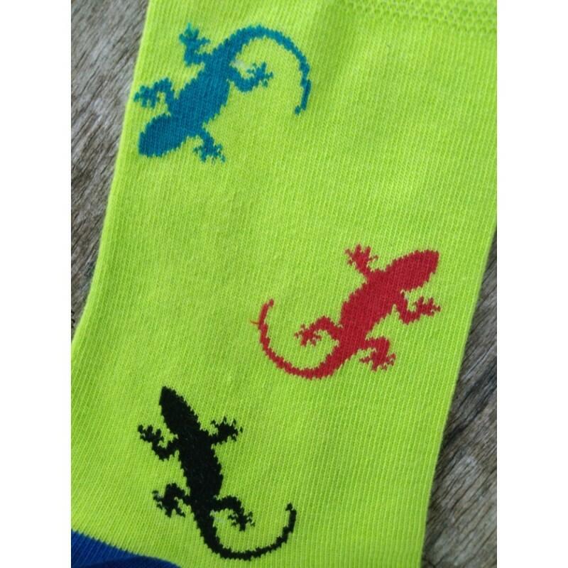 Ještěrka ponožky Trepon