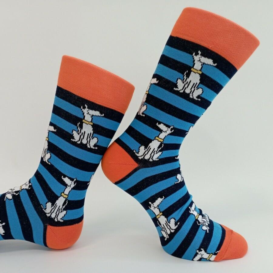 Hektor ponožky Trepon