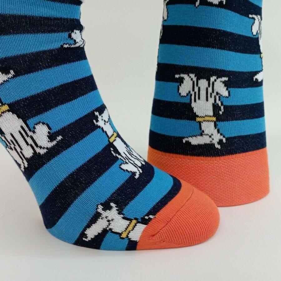 Hektor ponožky Trepon