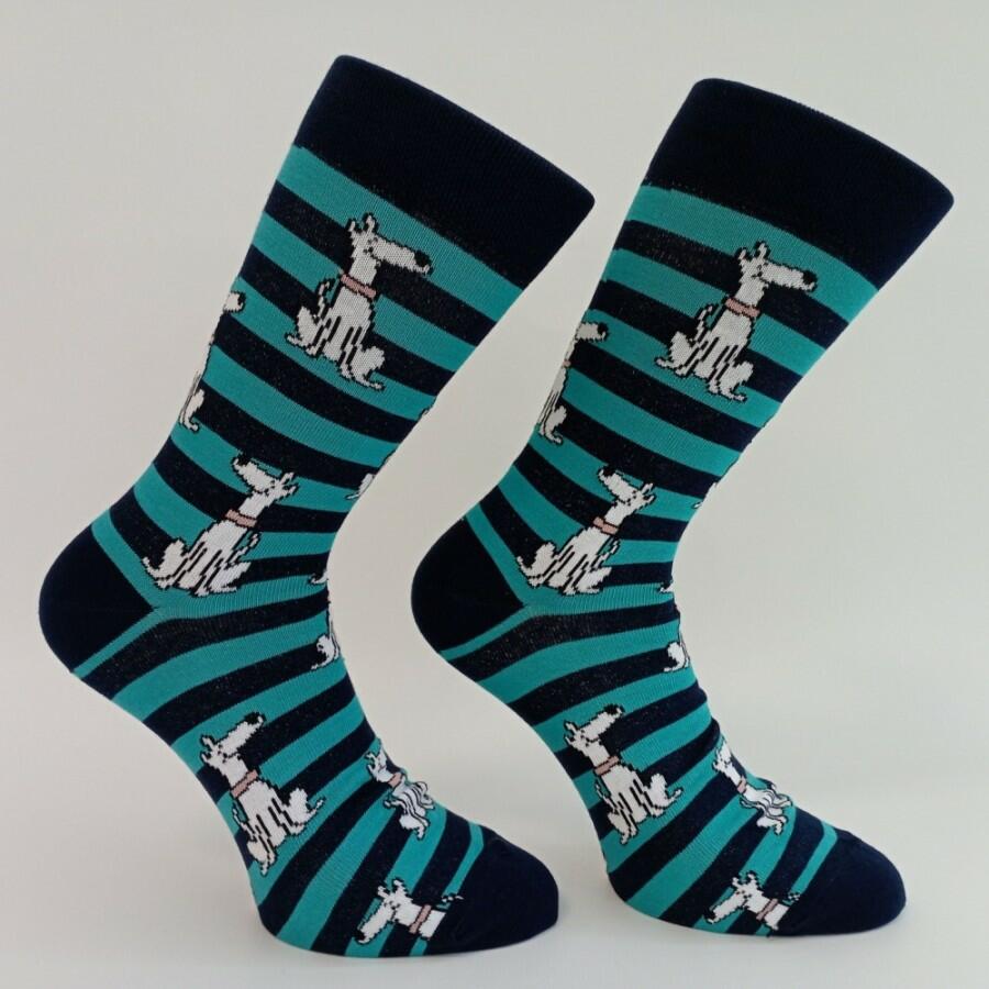 Hektor ponožky Trepon